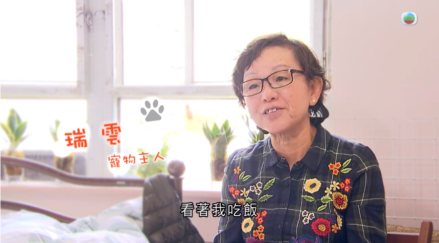 Methodist Centre's elderly service user and colleague were interviewed on TVB's news programme "Pet Talk"